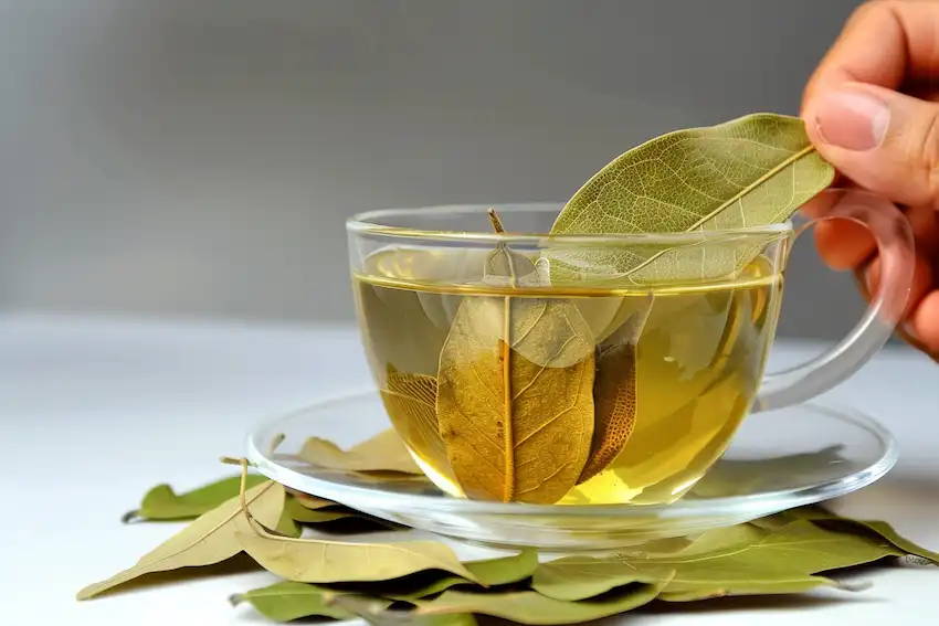 bay leaf tea