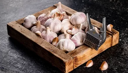 garlic shares