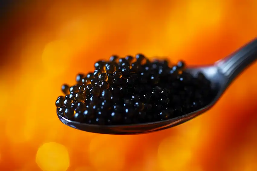 a close up of fresh papaya seeds