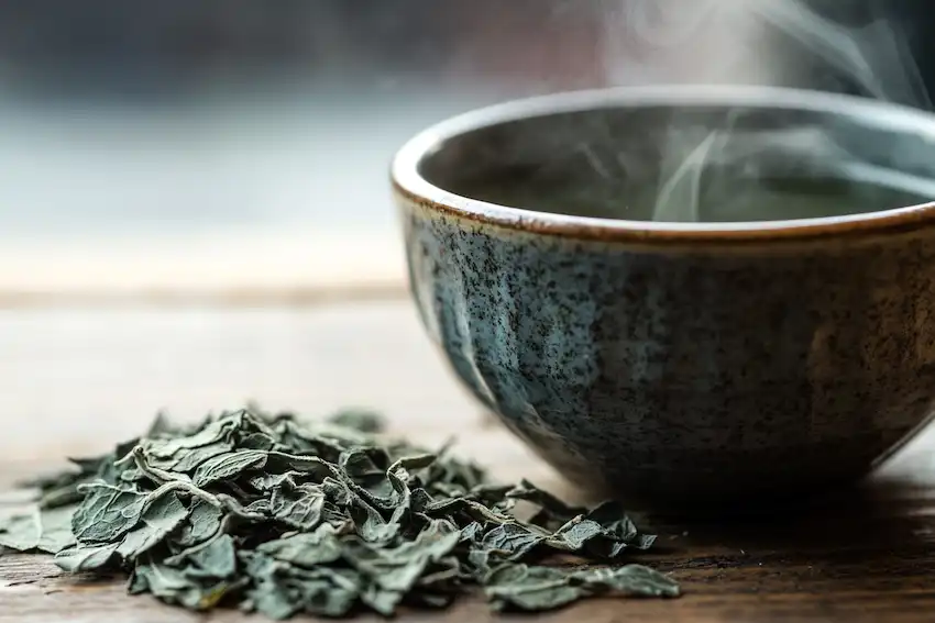 mugwort leaves on a table beside a cup of tea