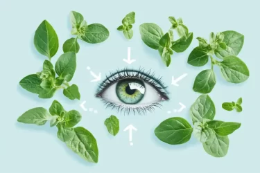 oregano leaves alongside key antioxidants like lutein zeaxanthin and vitamin a