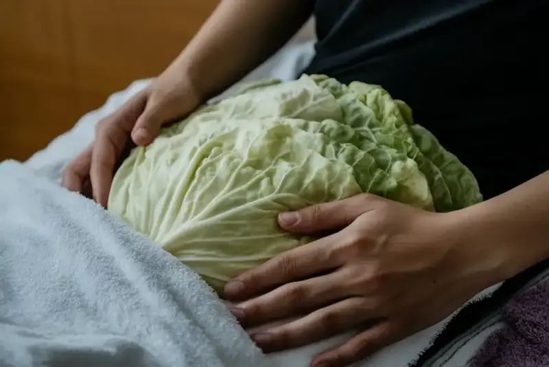 Frunze de varză pe piept: Remediul natural pentru congestie și tuse care încă uimește