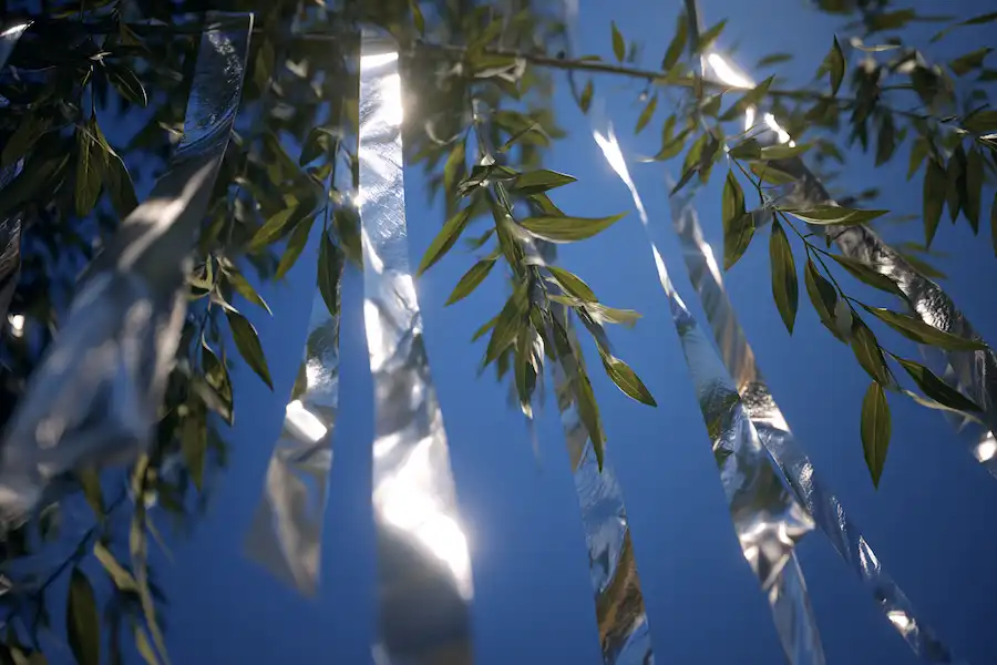 aluminum foil garden pest deterrent