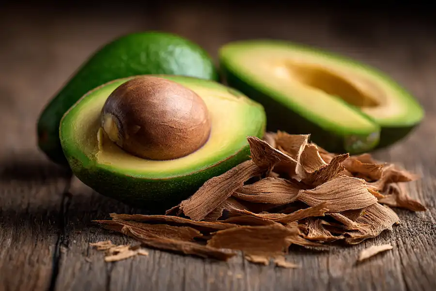 avocado seed husks health benefits