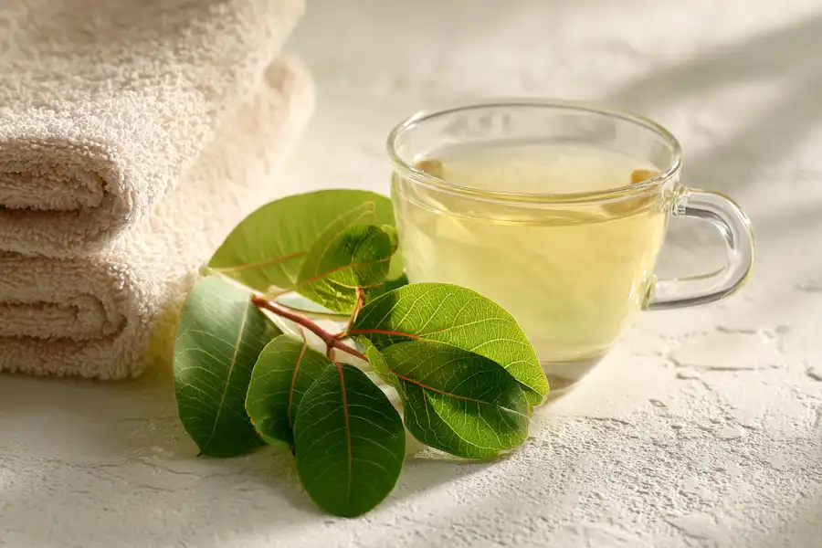 guava leaf mouthwash