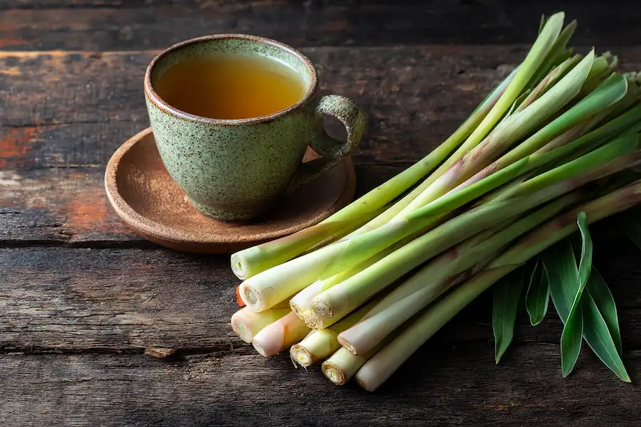 lemongrass natural remedy herb