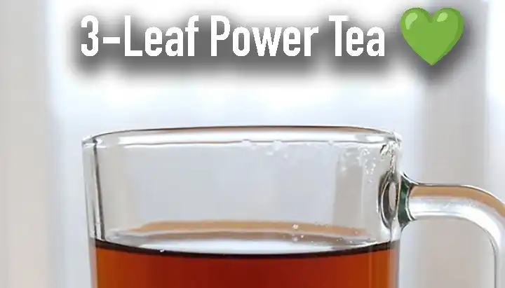 Mango, Guava, and Soursop Leaf Tea: Ancient Leaves with Modern Hopes