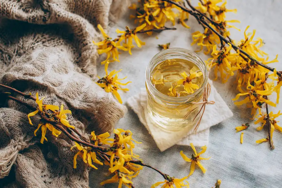 witch hazel health benefits