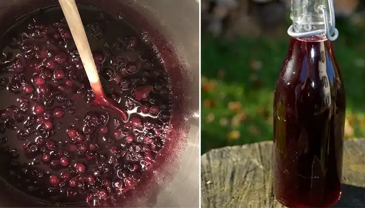 Elixirul violet al toamnei: Siropul de porumbele – gust intens, beneficii profunde