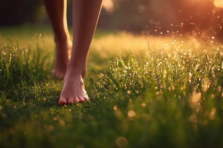 barefoot walking on grass sunlight earthing