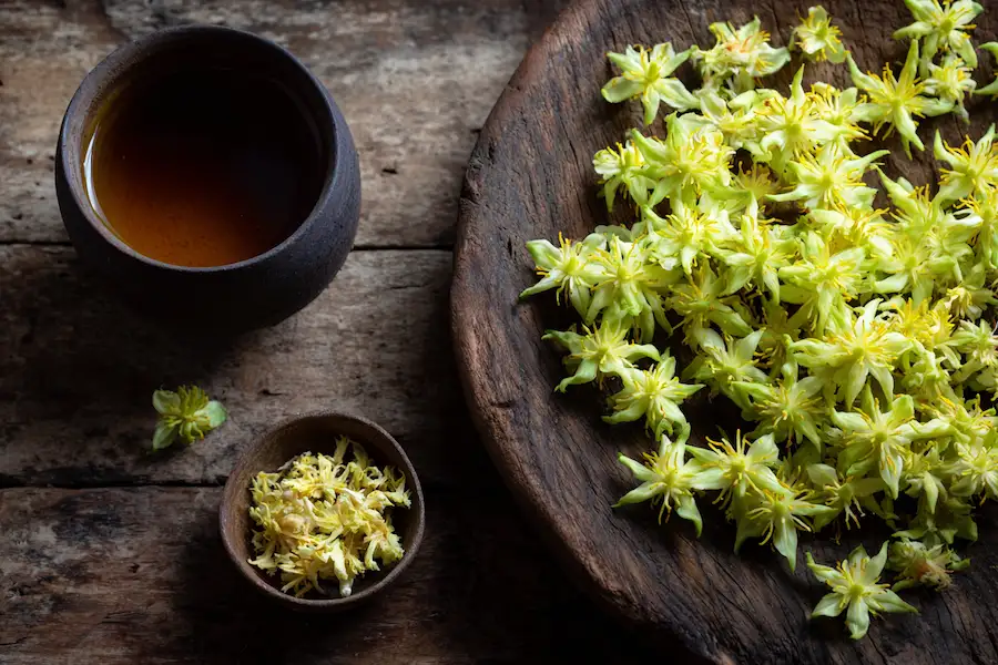 Kwiaty papai męskiej - korzyści zdrowotne, naturalny środek