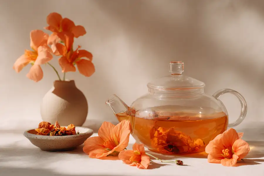 herbata z kwiatów papai męskiej, medycyna tradycyjna