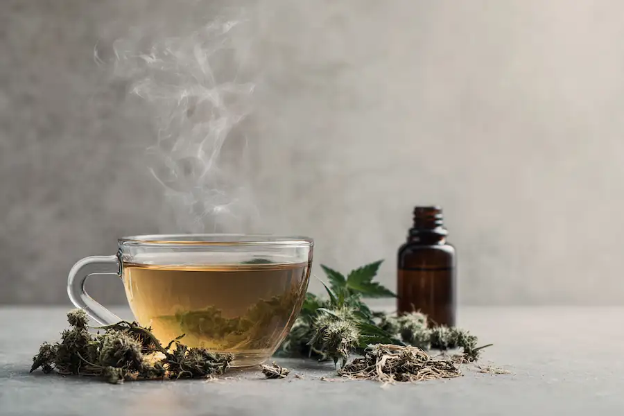 nettle root tea tincture herbal medicine