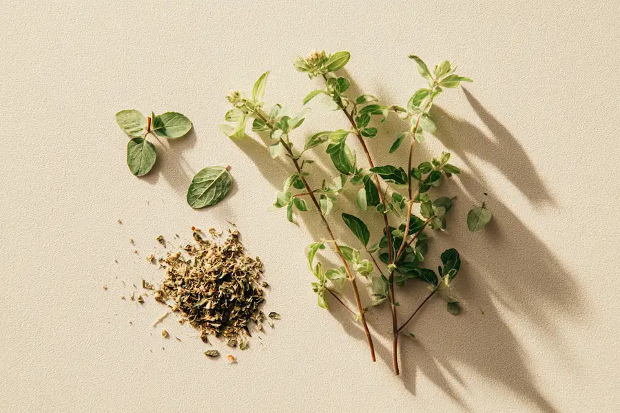 euphorbia hirta asthma plant flatlay