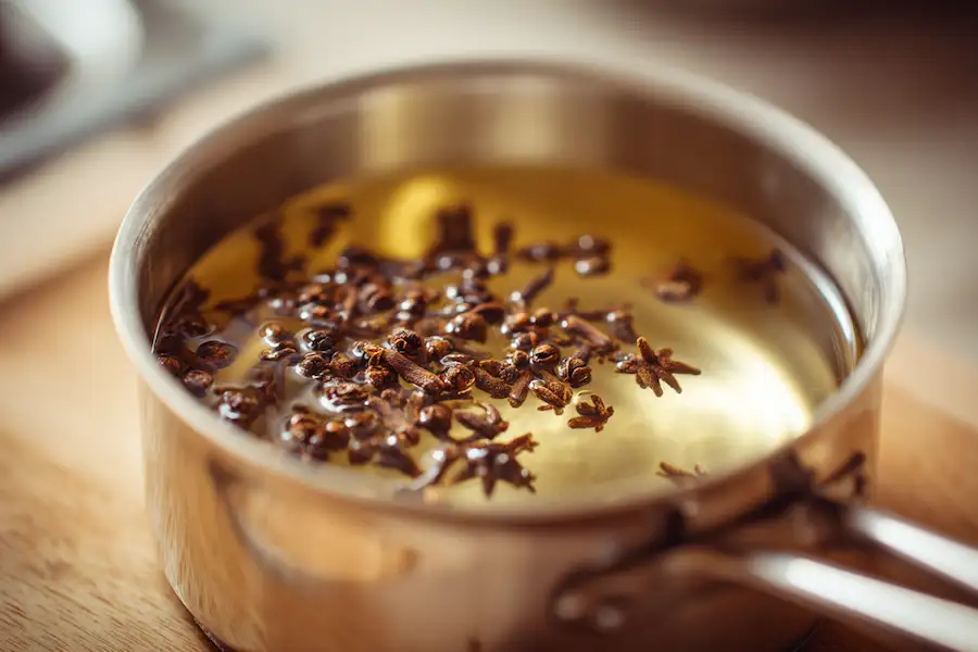 homemade clove oil infusion process