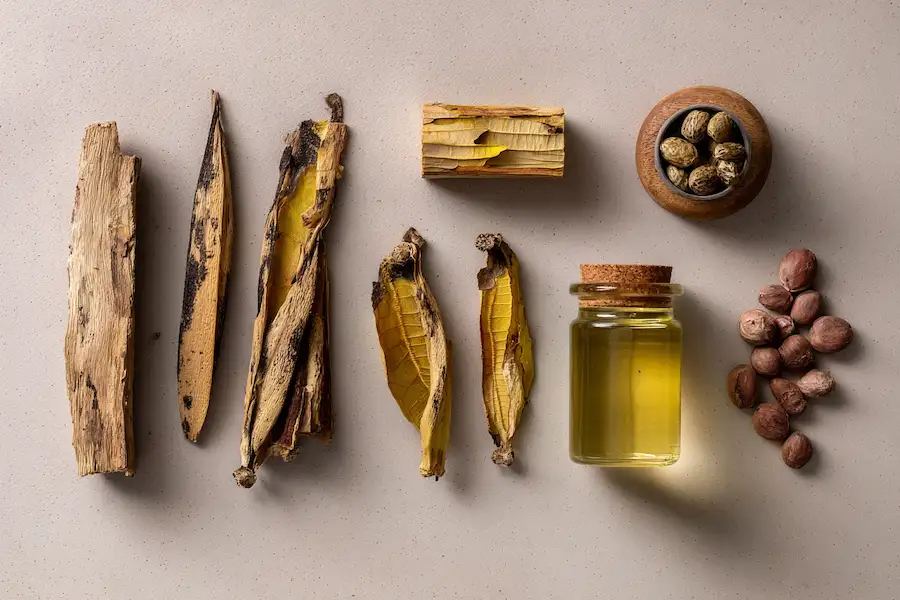 drzewo robinii akacjowej wykorzystuje płaskie podłoże