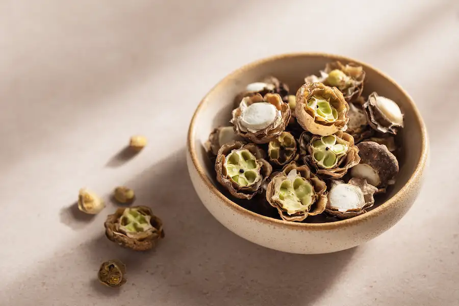 Guide des bienfaits pour la santé des graines de lotus