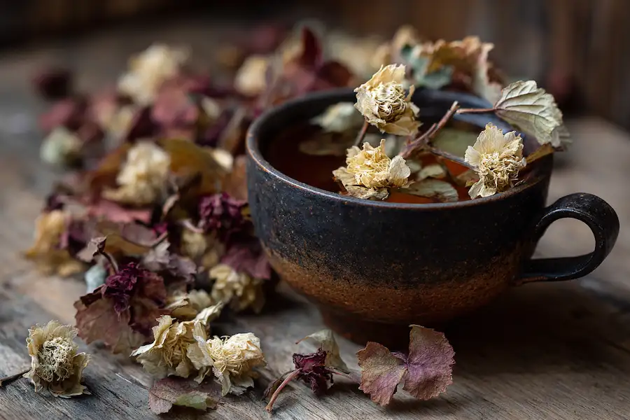 basswood traditional herbal relaxation