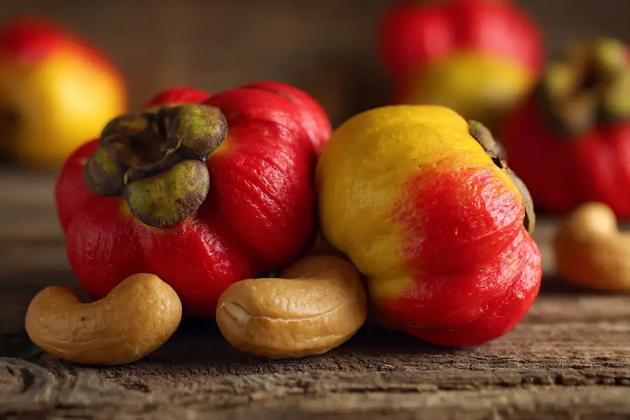 cashew apple health benefits