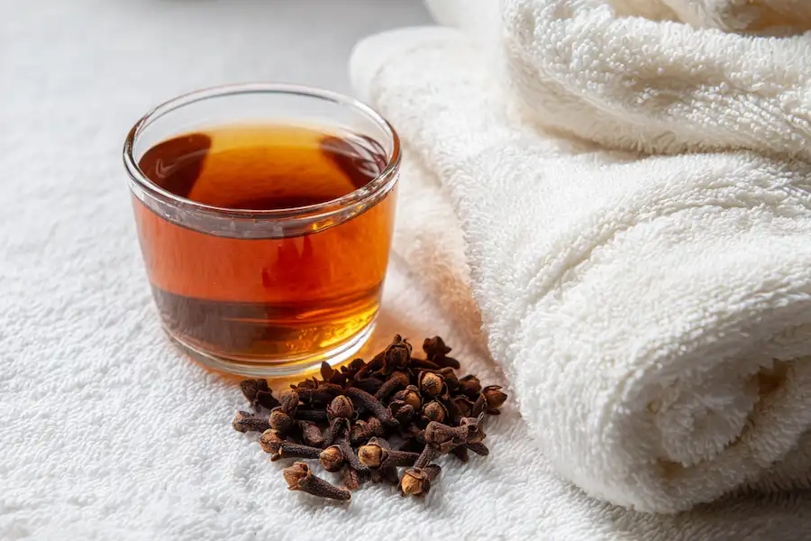 configuration d'infusion pour bain de clous de girofle