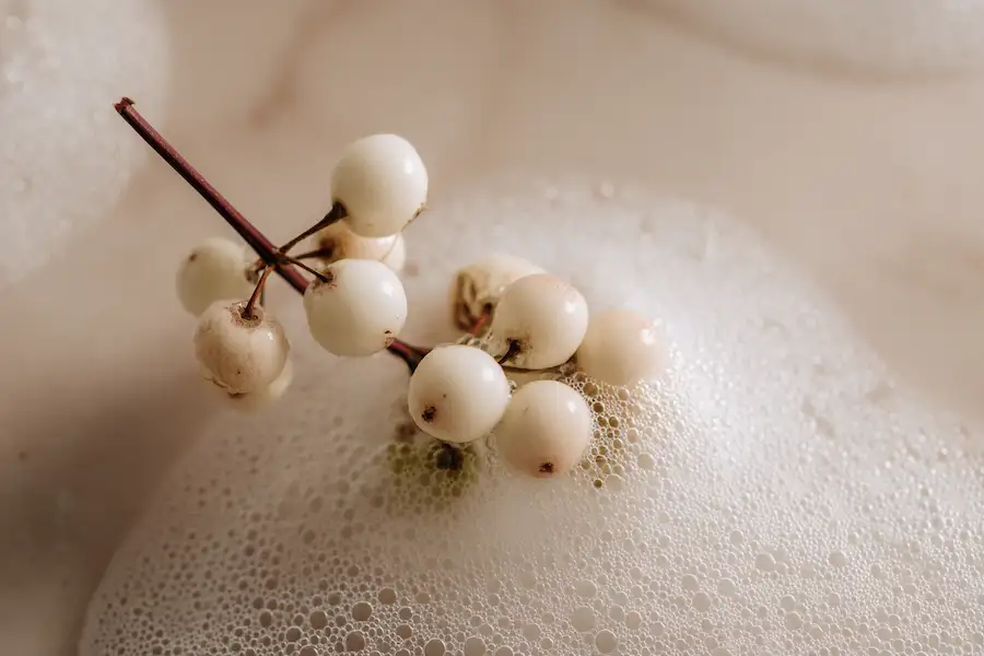 savon aux mûres des neiges fait maison, nettoyant sauvage
