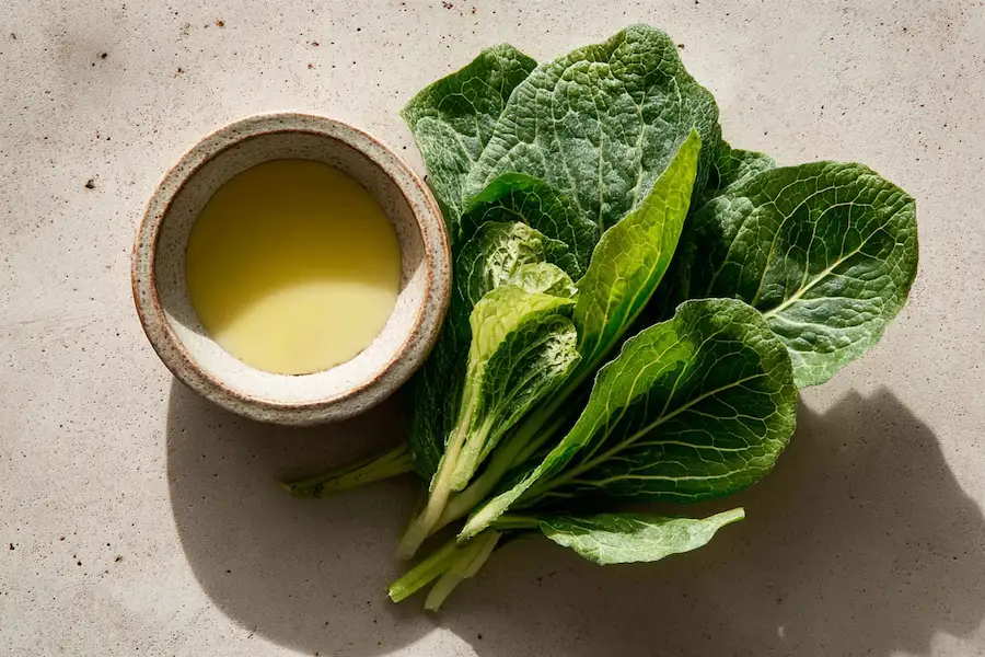 préparation de la pommade Plantago Major