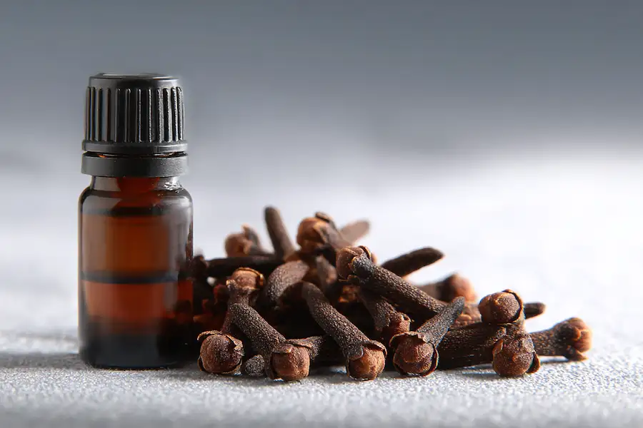 safe vs unsafe clove forms visual