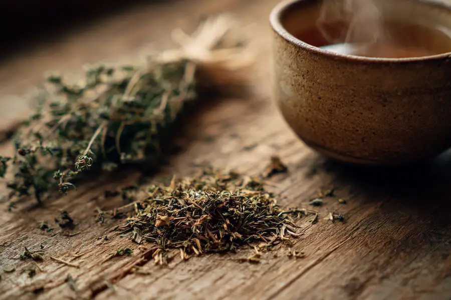 shepherds purse herb tea