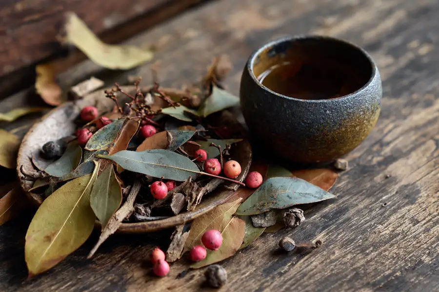 spicebush aromatic herbal preparation