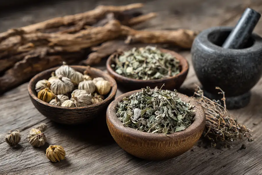 tribulus terrestris safety and traditional use