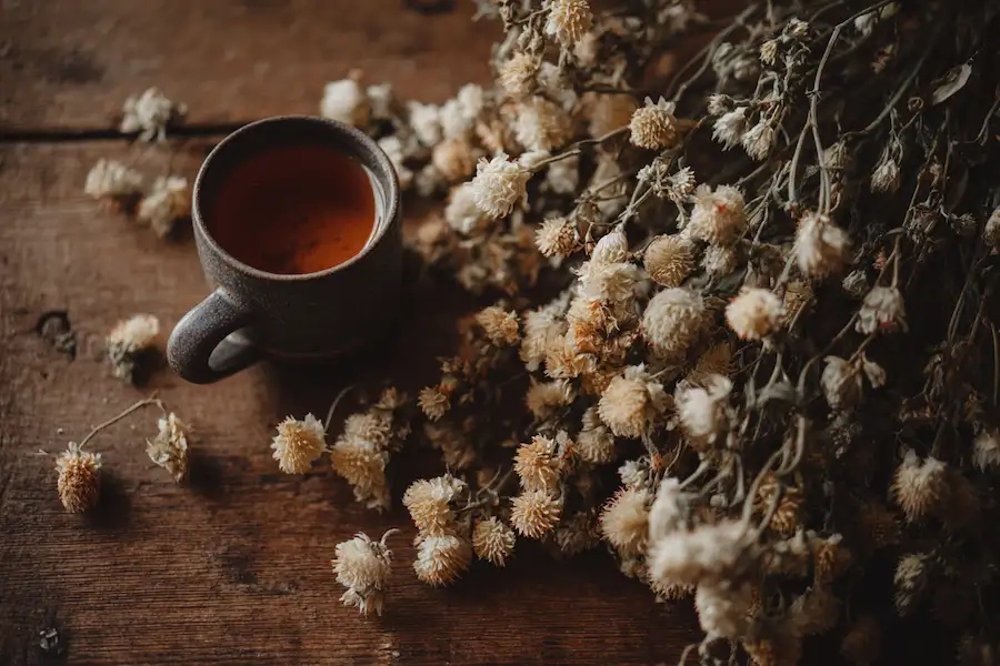 white sweetclover herbal tea setup