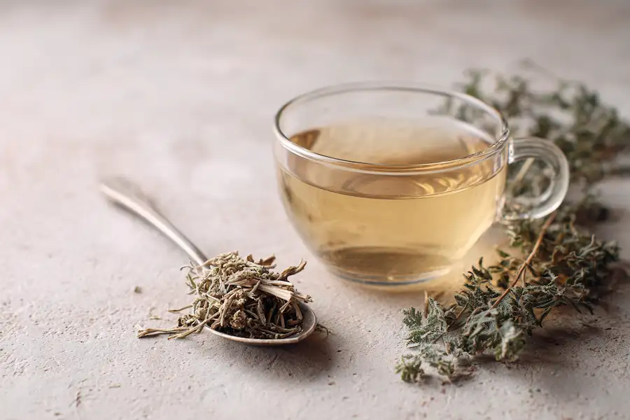 wormwood tea preparation safety