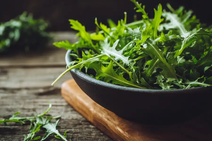 dandelion leaf salad natural nutrition