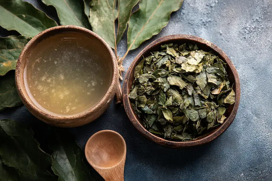soursop leaf compress and bath