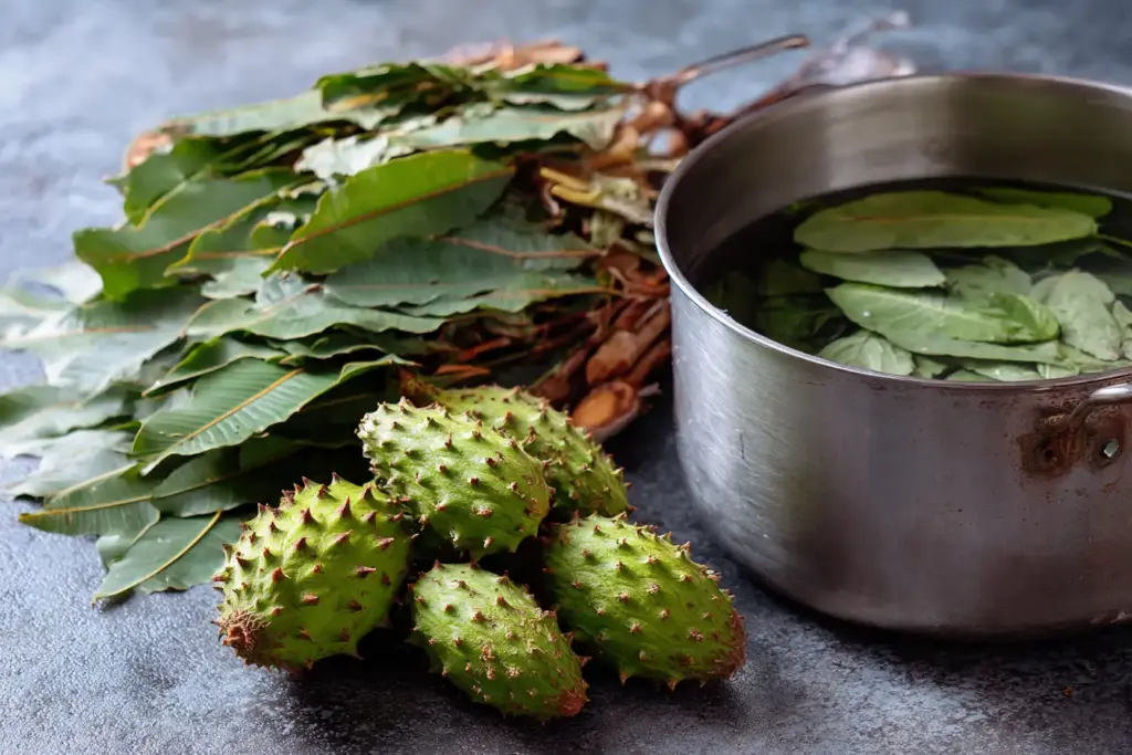 soursop leaf tea preparation