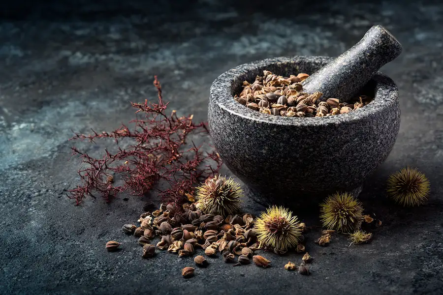 tribulus terrestris fruit herbal preparation