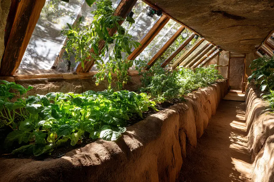 serre souterraine culture hivernale