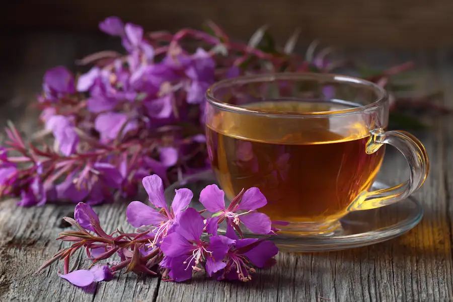 fireweed herbal tea cup