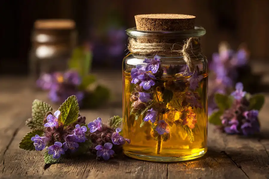 henbit infused oil jar