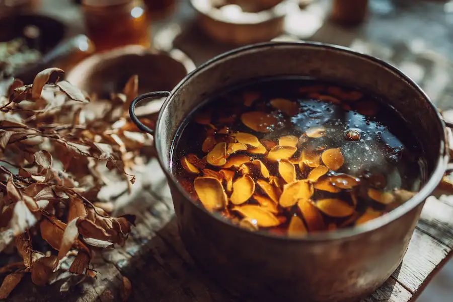 fabrication de sirop de gousses de criquet mellifère