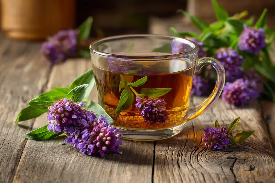 selfheal herbal tea cup