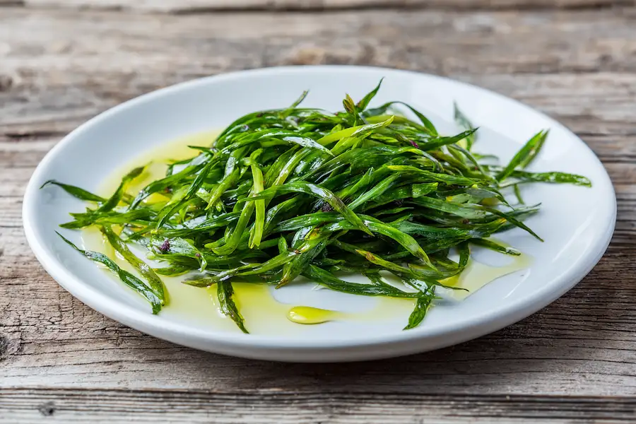 steamed fireweed shoots plate
