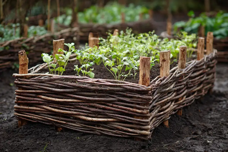 woven wattle raised garden bed