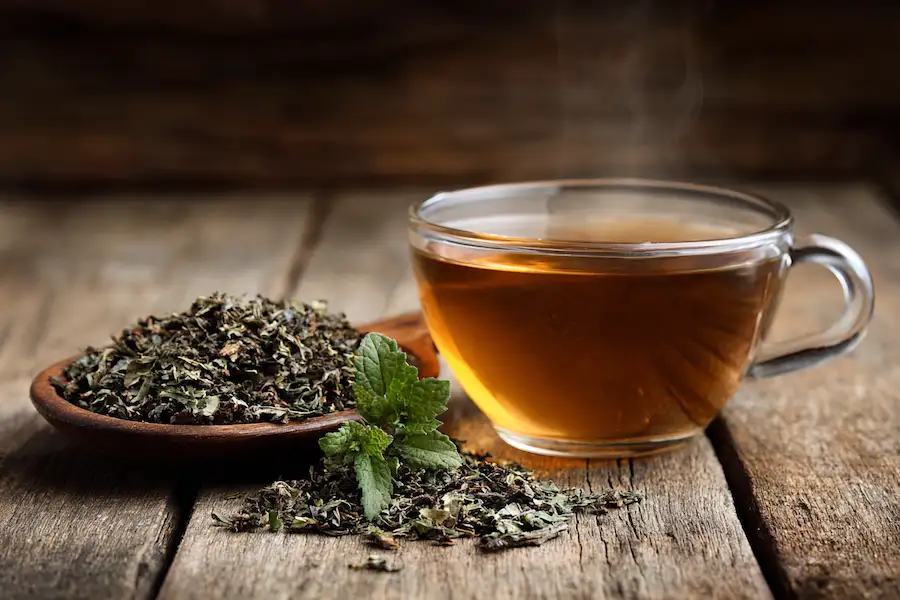 herbal tea bugleweed natural preparation