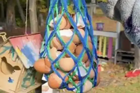 Don’t Throw Away Your Eggshells: Why Gardeners Are Hanging Bags of Them Outside