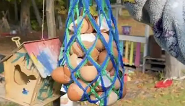 share eggs